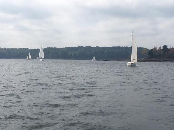 Pirates on the Prowl - Pic by Troy M.